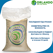 Семена газона Садово-парковая 20кг Зеленая Русь