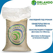 Семена Газон Универсальный 20кг Зеленая Русь