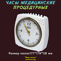 Часы процедурные