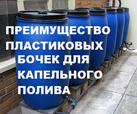 Капельный полив: преимущества пластиковых бочек перед еврокубом