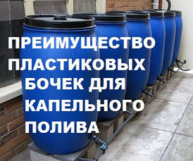 Капельный полив: преимущества пластиковых бочек перед еврокубом