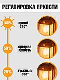 Ландшафтный солнечный светильник с датчиком движения, фото 3