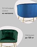 Кресло Stool Group Шале синий обивка велюр ножки металл цвет золото, фото 6