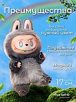 Мягкая игрушка брелок Лабубу Big into Energy True Self ID, секретный, фото 2