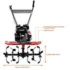 Мотоблок бензиновый с понижающей передачей МТБ-400 ЗУБР, фото 4