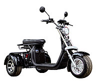 Электротрицикл AVM CityCoco Axel 2000