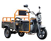Грузовой трицикл AVM Cargo mini 800