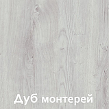 Шкаф-купе СЕНАТОР ШК10 (гл.650ММ.) (1,45М) фотопечать, 021 Венеция, Дуб монтерей, Кортекс-Мебель, фото 5