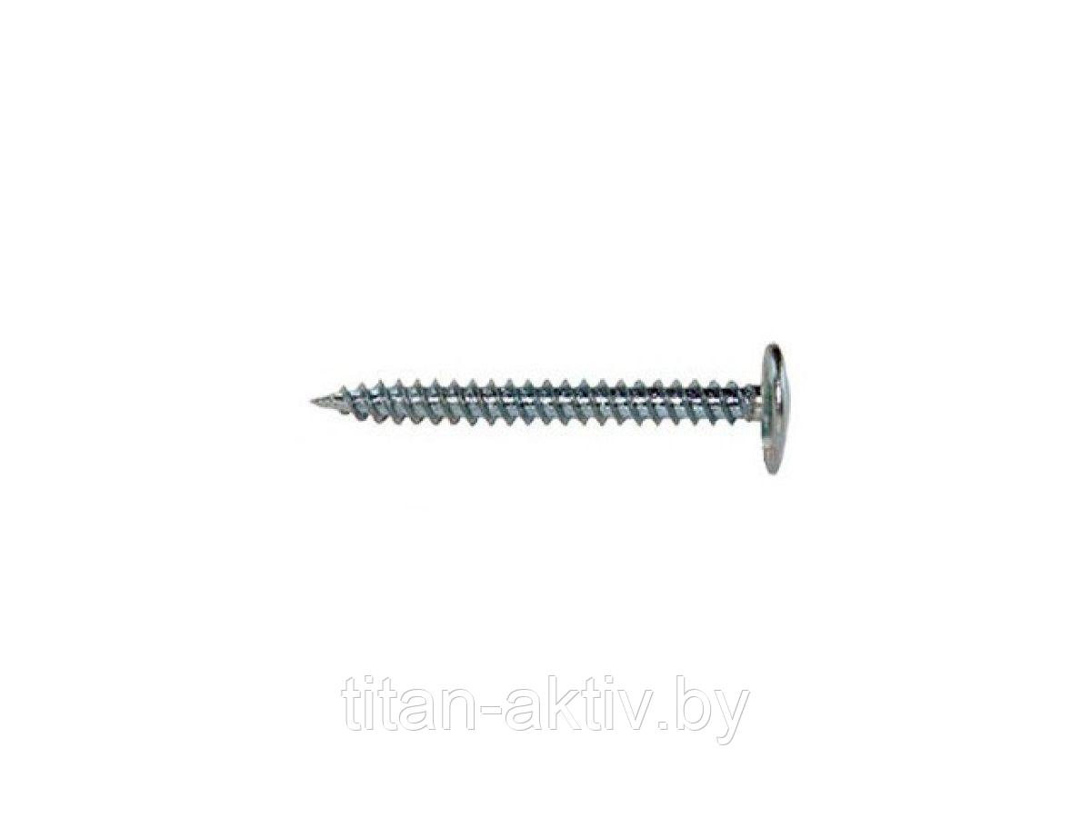 Саморез 4.2х41 мм с прессшайбой, цинк, острый (5 кг) STARFIX