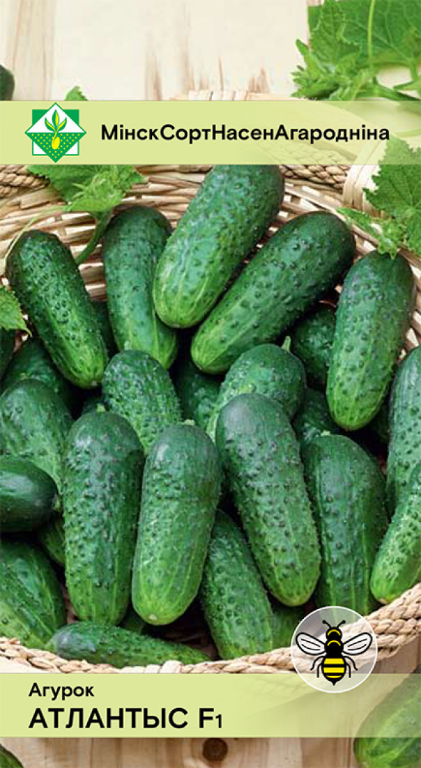 Огурец Атлантис F1 10шт МССО