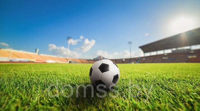 Газонная травосмесь Спортивная DSV 230 (Sport) Германия 10кг. Спортивный газон