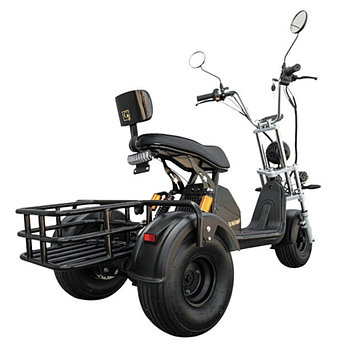 Электротрицикл CityCoco X6 pro Trike  2025!