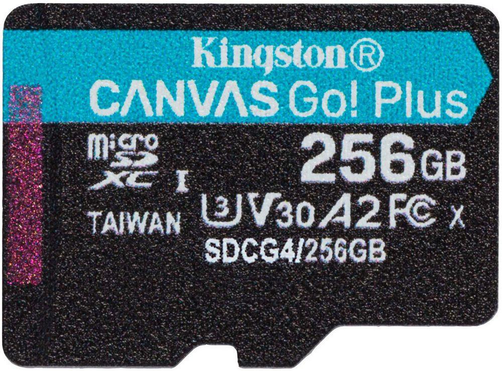 Карта памяти Kingston Canvas Go! microSDXC 256GB SDCG4/256GBSP, фото 1
