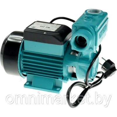 Насос поверхностный Greenpump WZ 250 (Аналог Omnigena WZ 250)