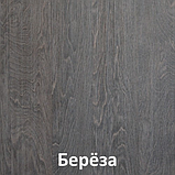 Шкаф-купе СЕНАТОР ШК12 , геометрия (гл.650ММ.) (2,05М), ДСП+Зеркало+ДСП, Берёза Кортекс-Мебель, фото 4