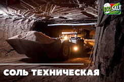 Соль техническая