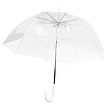 Зонт с прозрачным куполом Клер, фото 3