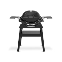 Гриль газовый Weber Q1200N с подставкой