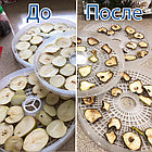 Электросушилка для фруктов и овощей EFD – 320F-09 elbet, фото 3