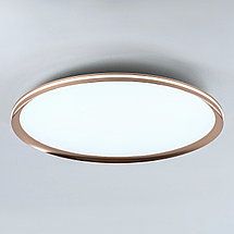Потолочный cветильник LED4U L3020-600 GD, фото 3