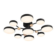 Потолочный светильник LED4U L3201-780 BK, фото 2