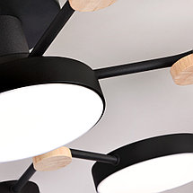 Потолочный светильник LED4U L3201-780 BK, фото 2