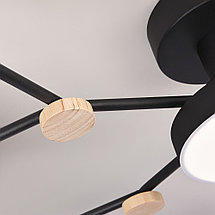 Потолочный светильник LED4U L3201-780 BK, фото 3