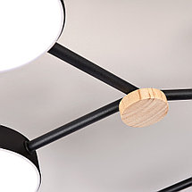 Потолочный светильник LED4U L3201-700 BK, фото 3