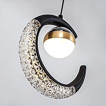 Подвесной светильник LED4U L7112-1 BK, фото 2