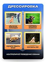 Ультразвуковой отпугиватель собак BING Training Dog Banish Dog Maching, фото 3