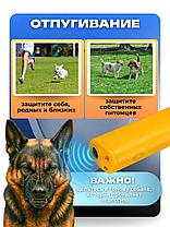Ультразвуковой отпугиватель собак BING Training Dog Banish Dog Maching, фото 2
