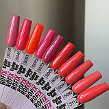 Гель-лак Rofix S89, 10 гр, фото 2