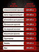 Краскопульт электрический для покраски, распылитель садовый, фото 3