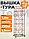 Вышка-тура TeaM ВСП 1,2х2,0, фото 3