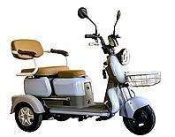 Пассажирский электротрицикл AVM City 650