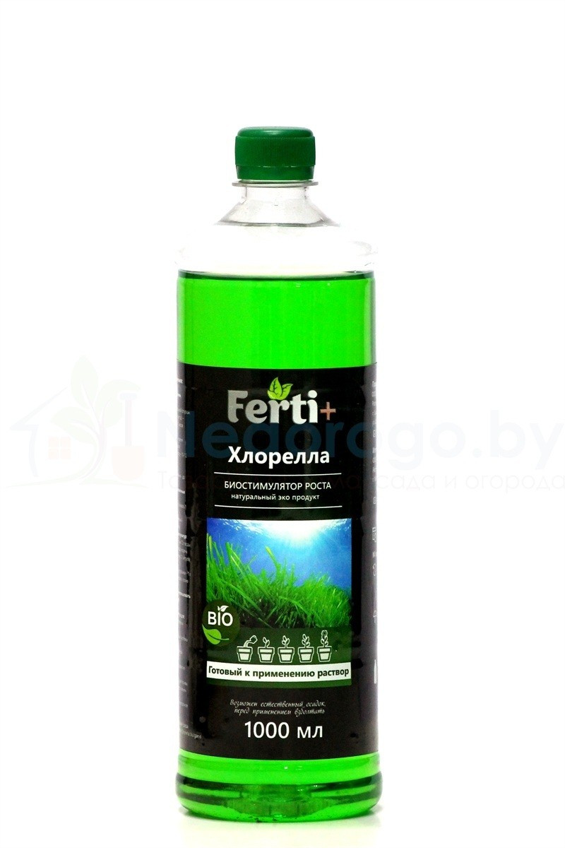 Хлорелла суспензия 1л