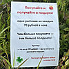  ДАРИМ КРАСОТУ!