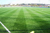 Искусственное травяное покрытие MS-PRO Высота ворса: 60 мм.