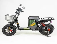 Электровелосипед FAVORIT DELTA-16