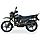 Мотоцикл Shineray I-200 Intruder XY200-4, фото 3
