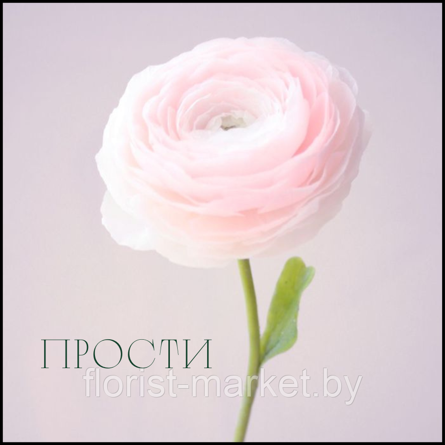 Открытка для букета "Прости", 7,5*7,5 см, 10 шт