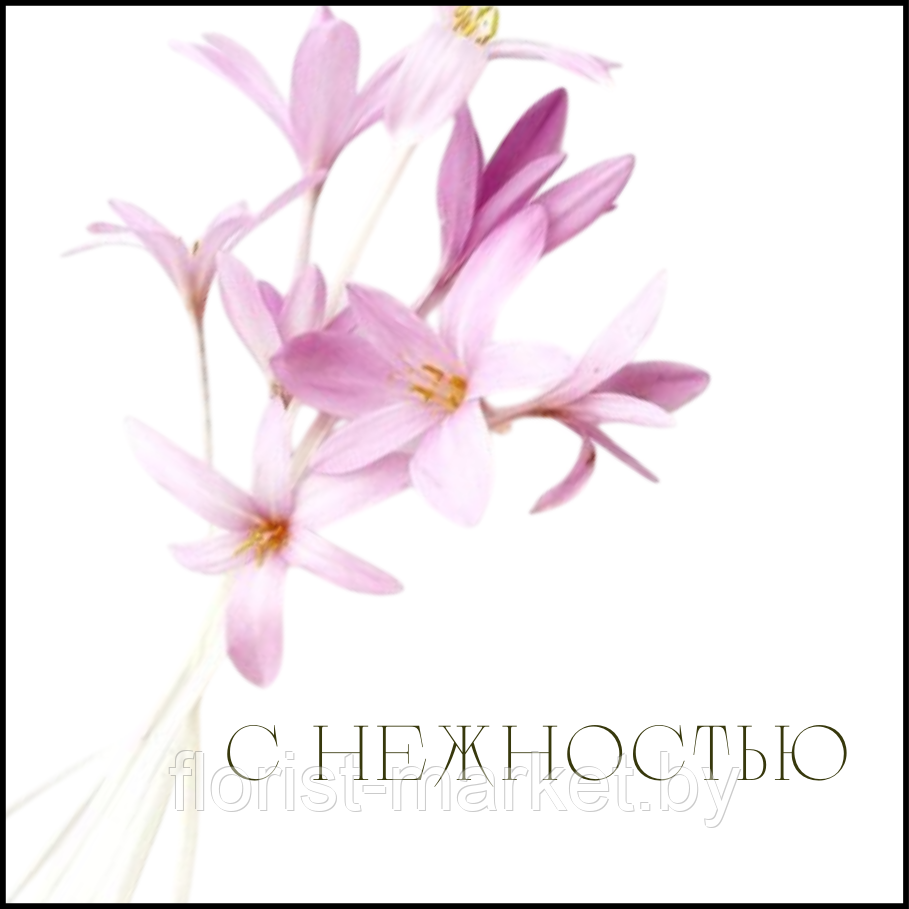 Открытка для букета "С нежностью", 7,5*7,5 см, 10 шт