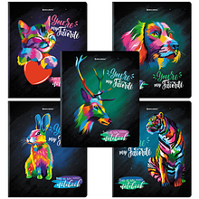 Тетрадь А5 48л. BRAUBERG скоба, клетка, матовая ламинация, выб. лак, (микс в спайке), 404374