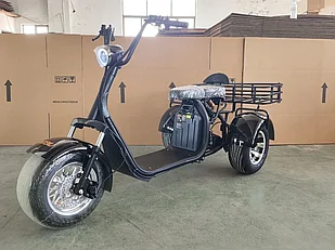 ЭЛЕКТРОВЕЛОСИПЕД Трицикл Shtenli Model 108