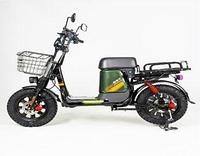 Электровелосипед FAVORIT DELTA-16