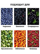 Комбайн для сбора ягод плодосборник, фото 3