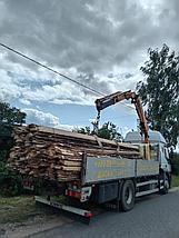 Дрова 10м3 с доставкой и выгрузкой, фото 3