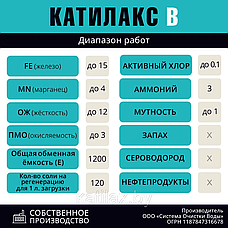 Система умягчения и обезжелезивания воды VAqua1252Q1 Катилакс B Производительность 2,2 м3/ч, фото 3