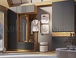 Прихожая РОДЖИНА (Дуб Крафт золотой/ Графит) МиФ, фото 10