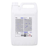 Чистящее средство Grass Grill Professional, 5.7 л, фото 2